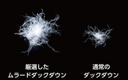 羽毛 布団 岡山市で作られた 羽毛掛けふとん ホワイトダック 93％ クィーンサイズ 寝具 [No5220-1694]