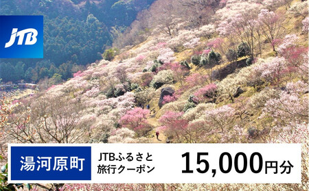 【湯河原町】JTBふるさと旅行クーポン（15,000円分） 有効期間3年（Eメール発行） 湯河原温泉 宿泊