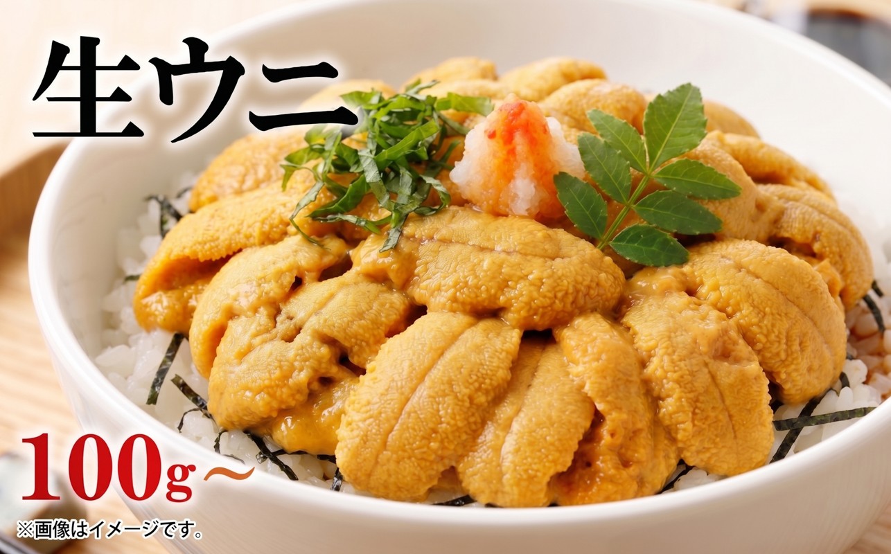 
                  選べる容量 生ウニ 100g 200g 300g 冷蔵 添加物無添加 ミョウバン不使用 ムラサキウニ 季節限定 生うに 生雲丹  天然 海鮮丼 寿司 ウニ丼 刺身 岩手県産 被災 震災 火災 災害 支援 山火事 岩手 三陸 大船渡市
                