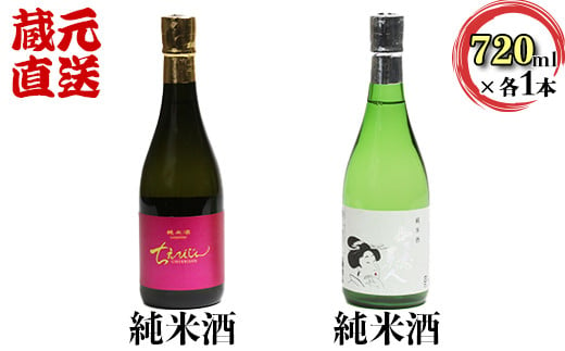 ちえびじん純米酒+智恵美人純米酒 飲み比べセット【中野酒造】 人気 ギフト 贈答 ＜110-017_6＞