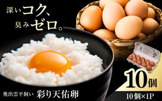 【平飼い卵】黄身の濃厚なコクと白身の甘み！たたらの里平飼い 彩り天佑卵 10個入り（10個×1P）たまご 卵 雲南 放牧卵 タマゴ 鶏卵 生卵 国産 放し飼い 卵焼き 卵かけご飯 TKG 朝食 朝ごはん ご褒美 コク 旨み 贅沢 お取り寄せ 毎日食べたい卵 美容 健康 単品 6千円 お試し 人気 高評価 ランキング 島根県雲南市/株式会社たなべたたらの里（たなべ森の鶏舎） [AIDL006]