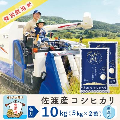 ふるさと納税 佐渡市 【毎月定期便】佐渡島産コシヒカリ 無洗米10Kg(5Kg×2袋) 特別栽培米 農家直送　全6回