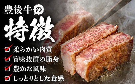 豊後牛 サーロイン ブロック 1kg / サーロイン ブロック サーロイン 牛肉 サーロイン サーロイン / MEAT PLUS[AREI023]