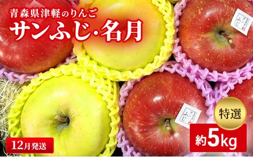 
                  【12月発送】【里いちみfarm】青森県津軽のりんご　特選「サンふじ・名月」約5kg
                