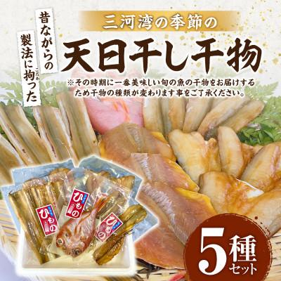 ふるさと納税 西尾市 三河湾の季節の天日干し干物5種セット・M098
