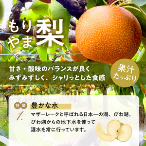 びわこもりやまフルーツランド  もりやま梨　豊水ご自宅用【８月下旬～９月お届け】