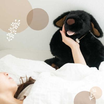 ふるさと納税 糸島市 シロラン&クロラン(パトラン2点セット)犬ぬいぐるみ糸島市/科学工房未來[AYI004] |  | 03