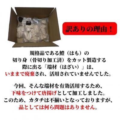 ふるさと納税 小松島市 訳あり　鱧(はも)の唐揚げ　1.2kg(600g×2袋)│冷凍　カツ　から揚げ　規格外 |  | 03