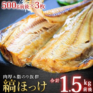 大きさ脂のり自慢!縞ほっけ(約500g)×3枚【配送不可地域：離島】【1104320】