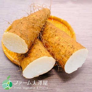 山形村産 ながいも 2-4L 約10kg 41-03