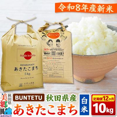 ふるさと納税 美郷町 新米予約 《定期便12ヶ月》あきたこまち 精米 10kg(5kg×2)|01_btt-021012s