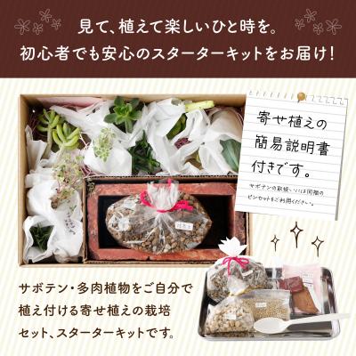 ふるさと納税 室戸市 サボテン多肉植物の「アンティーク調鉢寄せ植えキット」(鉢色・ブラウン、鉢サイズ・大) |  | 01