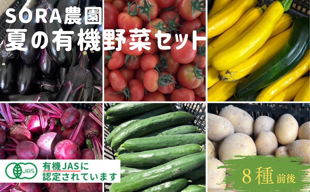 
                  SORA農園 有機野菜 夏野菜セット おまかせ8種類前後 オーガニック野菜 詰合せ　SN00008
                