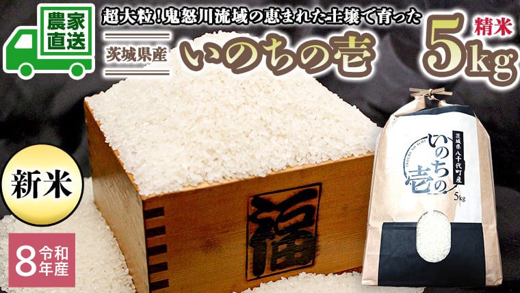 
                  令和8年産 新米 茨城県産 いのちの壱 5kg 精米 米 こめ コメ 茨城県 白米 国産 いばらき 単一米 単一原料米 大粒 農家直送 [BG018ya]
                