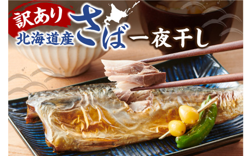北海道産　訳有り　不揃いのさば一夜干しセット