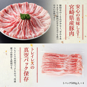 豚肉 「まるみ豚」 宮崎県産豚肉 バスライス 2kg 【豚肉】
