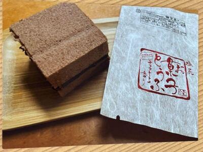 お菓子とうふ 10個入り（ごま餡4ヶ・梅餡2ヶ・チョコ2ヶ・抹茶2ヶ）｜ お菓子 とうふ 和スイーツ ヘルシー志向 人気 新食感 健康志向 塩尻市 長野県