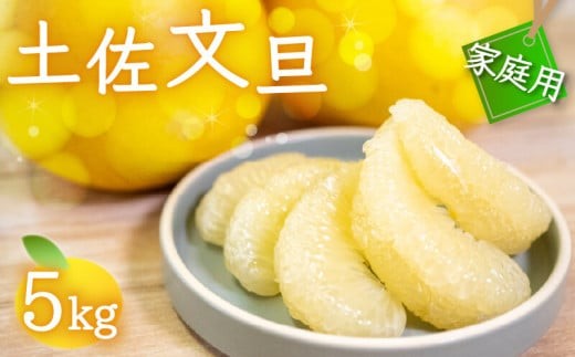 【ふるさと納税】 訳あり 文旦 5kg 2027年2月より順次発送 産地直送  ジャム 贈答 柑橘 フルーツ 果物 くだもの 果実 みかん かんきつ 土佐文旦 ぶんたん デザート ご褒美 高知県 須崎市 ふるさと納税 ギフト NPO004_x