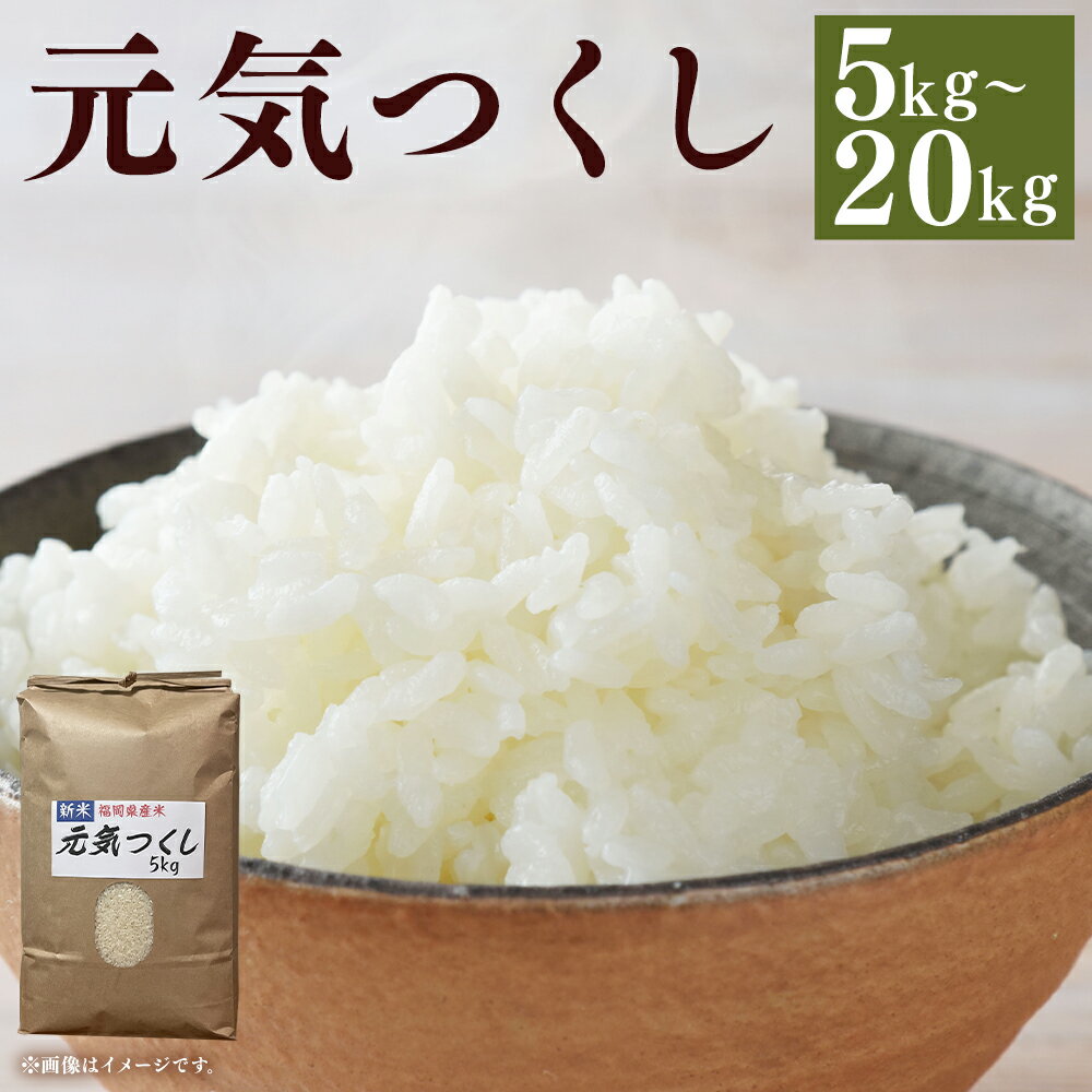 【ふるさと納税】＜選べる内容量＞【令和8年産】農家直送！冷めてもうまい元気つくし。福岡が誇るお米「元気つくし」 5kg / 計10kg（5kg×2） / 計20kg（5kg×4） お米 こめ コメ 白米 精米 単一原料米 ごはん ご飯 福岡県産 国産 九州 送料無料 【2026年10月下旬発送開始】