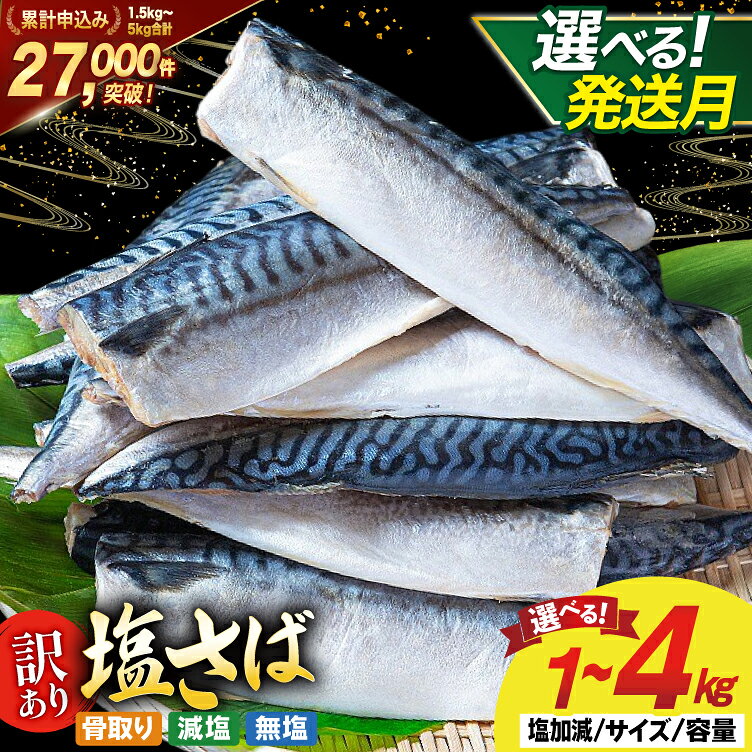 【ふるさと納税】 訳あり サバ 鯖 切り身/ フィレ [足利本店 宮城県 気仙沼市 20566345] さば 骨取り フィーレ 切身 サバフィレ 鯖フィレ 切り身 冷凍 訳アリ わけあり トロサバ 減塩 無塩 とろさば 人気 海鮮 規格外 魚介 焼き鯖 不揃い
