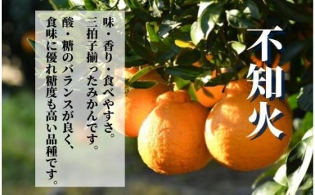 【不知火】良品 約 5kg　＜2027年3月中旬頃?4月頭頃順次発送＞愛媛 松山 みかん 先行予約 蜜柑 柑橘 果物 くだもの フルーツ お取り寄せ グルメ 期間限定 数量限定 人気 おすすめ 愛媛県