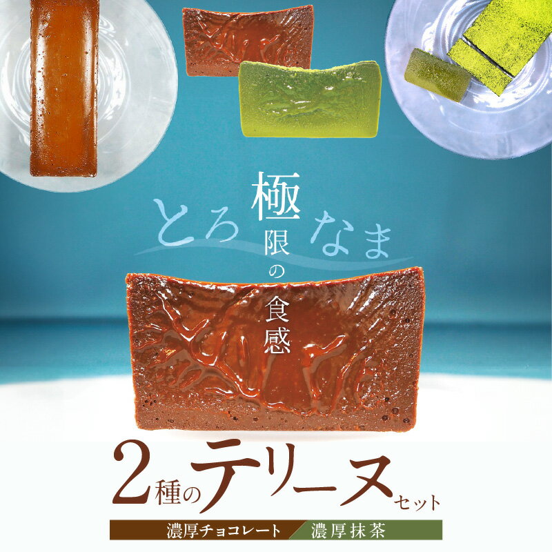 【ふるさと納税】（約200g） 濃厚 抹茶 チョコレート 2種 テリーヌ セット グルテンフリー 保存料不使用 ホワイトチョコ スイーツ デザート おやつ なめらか 冷凍 国産 専門店 人気 安心 安全 フレンチシェフ 愛知県 碧南市 お取り寄せ お取り寄せスイーツ 送料無料