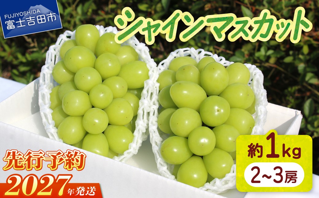 
                  【2027年発送 先行予約】山梨県産 シャインマスカット約1kg（2～3房）　フルーツ くだもの 果物 ぶどう シャイン マスカット 産地直送 ブドウ 山梨 富士吉田市
                