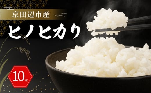 京田辺市産 ヒノヒカリ 10kg R7年度産 お米 米 こめ コメ 精米 白米 ごはん ご飯 弁当 おにぎり 防災 京田辺市 京都府 kt2026
