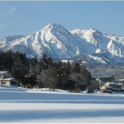 ふるさと納税 上越市 標高200mで育てた棚田米|令和7年・新潟県上越産・ゆうだい21 精米5kg |  | 01