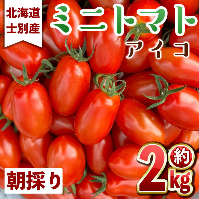 【ふるさと納税】＜数量限定＞北海道士別市産 ミニトマト アイコ (約2kg) 【2025年8月中旬以降順次発送】トマト ミニトマト とまと 期間限定 旬 野菜 甘い 北海道産 士別市産 国産 新鮮野菜 【ネオアグリプロジェクト株式会社】