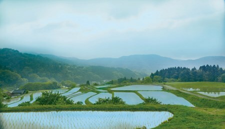 「道の駅きなんせ岩美」特選　棚田米”もみからまい”5kg　令和7年産コシヒカリ 新米【31003】