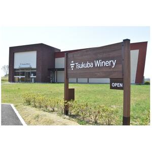 【離島・沖縄配送不可】つくばワイナリー ツインピークスブラン　750ml【配送不可地域：離島・沖縄県】【1691022】