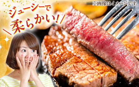 【6回定期便】最高級A5等級 三重県産 黒毛和牛 三重 柿安牛 サーロインステーキ 600g 亀山市/柿安本店 ステーキ 冷蔵 送料無料[AMBW025]