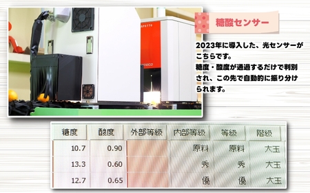 ▼＼光センサー選別／極 有田みかんプレミアム 5kg【糖度12度以上】2S～Mの小玉サイズ 有機質肥料100% ※2024年11月下旬頃～2024年12月下旬頃に順次発送予定 ※北海道・沖縄・離島への