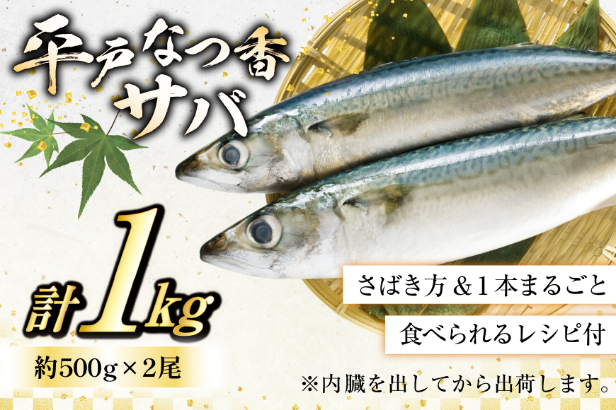 鯖 刺身 平戸なつ香 サバ 約500g 2尾 [（株）坂野水産 長崎県 平戸市 hr42bgy420201] さば 魚介 さかな 刺身用 さしみ 冷蔵 おかず フルーツ魚  夏香 なつ香 鮮魚 海鮮 