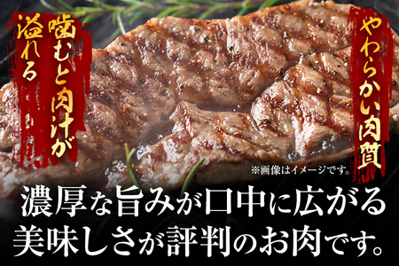【厳選希少部位】【A4～A5】博多和牛ミスジステーキ 約500g 黒毛和牛 