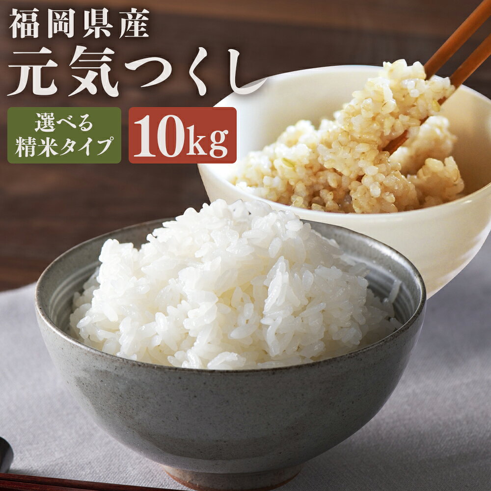 【ふるさと納税】＜選べる種類＞福岡県産 【特A】評価のお米「元気つくし」 計10kg（5kg×2袋） [白米 / 玄米] 令和7年産 お米 こめ コメ 精米 単一原料米 ご飯 ごはん お弁当 国産 九州 福岡県 嘉麻市 送料無料