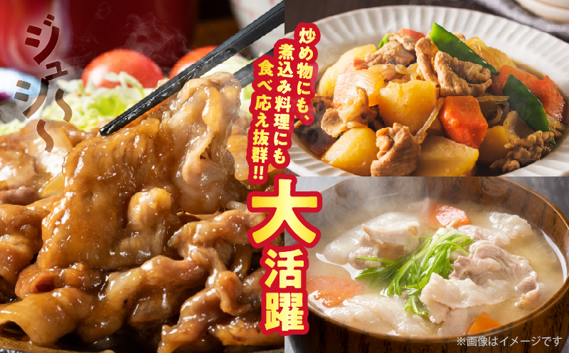 【2週間以内発送】宮崎県産豚もも切り落とし（計1.5kg）肉 豚 豚肉 おかず 国産_T025-044