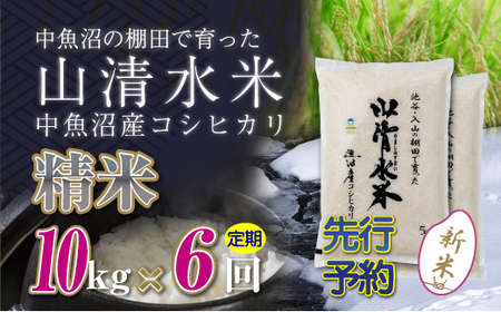 【令和8年産 先行予約】【定期便／全6回】精米10kg 新潟県魚沼産コシヒカリ「山清水米」