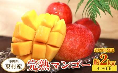 東村産完熟マンゴー　約2kg（4～6玉）2026年発送 甘い 芳醇 完熟 マンゴー トロピカル 農家直送 夏 デザート フルーツ アーウィン あまい おいしい ジューシー 南国 高級 まんごー 沖縄 国産マンゴー 沖縄県 東村