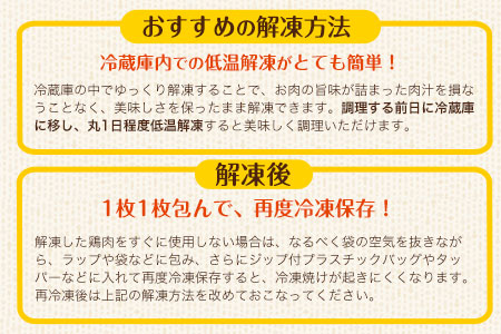 熊本県産 若鶏手羽元 約4kg 2kg×2P 《30日以内に出荷予定(土日祝除く)》 熊本県 葦北郡 津奈木町