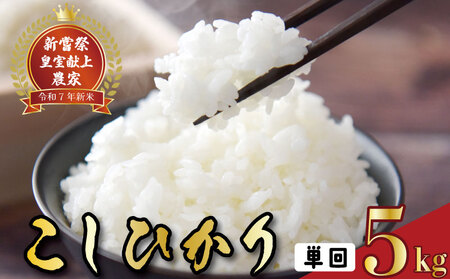 コシヒカリ 新米 5kg こしひかり 令和7年産 精米 AS011