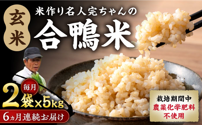 【全6回定期便】令和6年産 米作り名人完ちゃんの合鴨米 玄米 10kg 栽培期間中農薬化学肥料不使用 [YCT010]