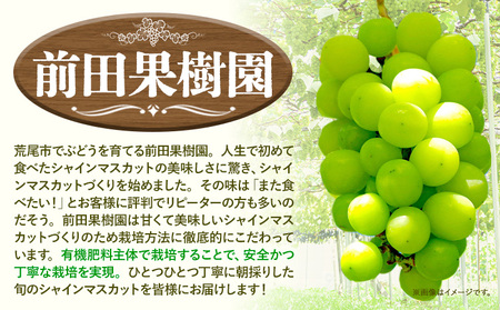 【先行予約】 シャインマスカット 約3kg（4～6房） 《8月下旬-9月末頃出荷》大容量 シャインマスカット フルーツ シャインマスカット 期間限定 シャインマスカット 前田果樹園