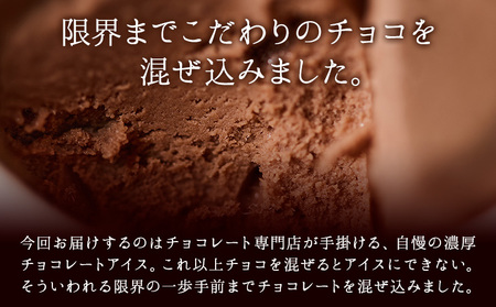 石挽きチョコアイス Lサイズ 12個 チョコレート