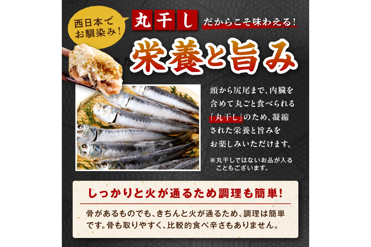 京丹後の地元魚屋が作ったお任せ干物セット（冷凍）　TB00024