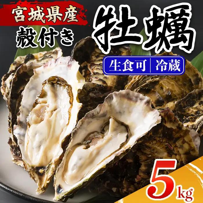 ≪先行予約受付中！≫殻付き牡蠣（生食用）冷蔵 5kg 生牡蠣 宮城県産 牡蛎 牡蠣 カキ かき 生食 オイスター カキフライ 牡蠣鍋 海鮮 国産 魚貝類 バーベキュー BBQ 【カタクチ商店株式会社】ta733