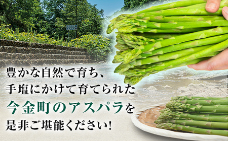 【先行予約】朝採れ新鮮アスパラ 750g （Lサイズ）（2025年3月下旬～6月中旬または7月上旬～9月上旬頃発送） 野菜 秀品 北海道産 バーベキュー BBQ キャンプ 旬野菜 アスパラガス 栄養満