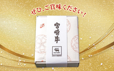 ハンバーグ 網巻き手ごねハンバーグセット 8個入り セット 工場直売所 A5ランク 宮崎牛 国産 ブランド豚 肉汁 ふっくら ジューシー 惣菜 手ごね 日進市 愛知県