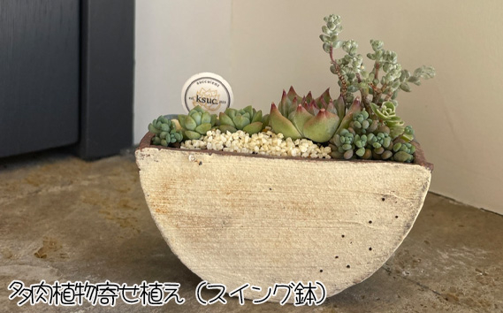 
No.903 多肉植物寄せ植え（スイング鉢） ／ 植木鉢 観葉 インテリア 神奈川県
